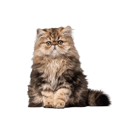 Free Goober character 4