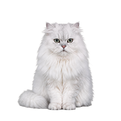 Free Goober character 7